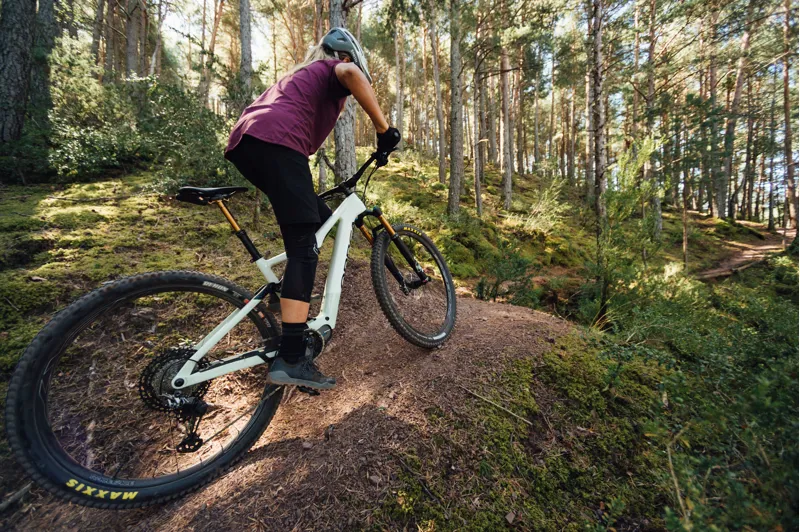 Orbea Rise M-Team 29er Mountain Bike 2022 Sap White/Green Fog